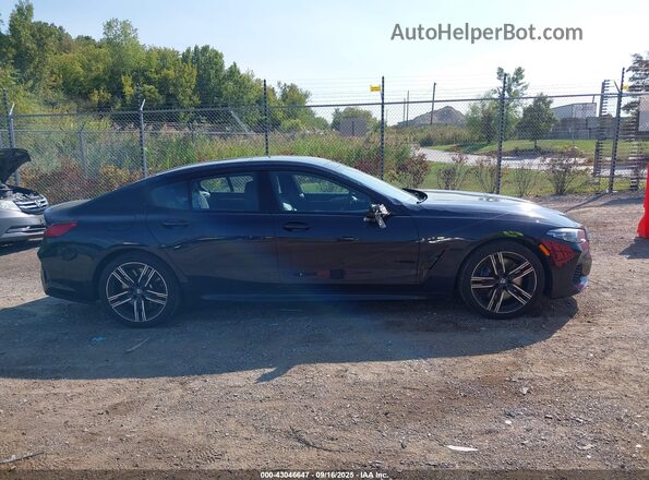 WBAGV4C04LCD10884 2020 BMW 8 SERIES Blue Вид задньої частини салону