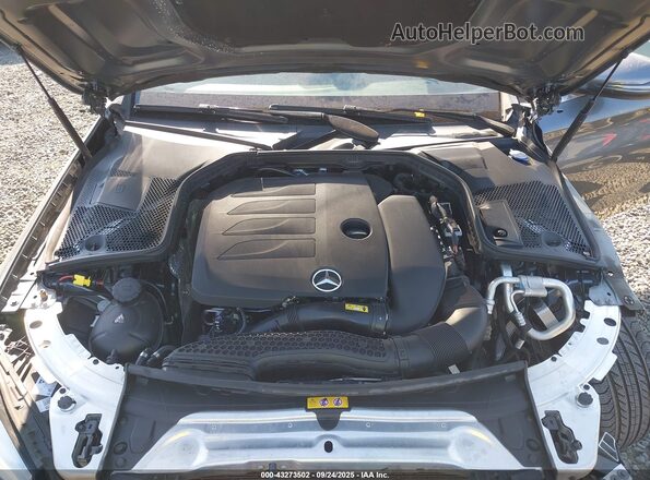 WDDWF8DB1LR525710 2020 MERCEDES-BENZ C-CLASS Silver უკანა ხედი