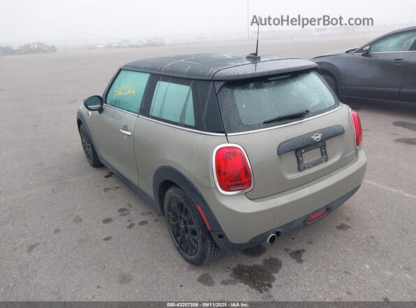 WMWXR3C03M2N03644 2021 MINI COOPER Brown Tył lewy