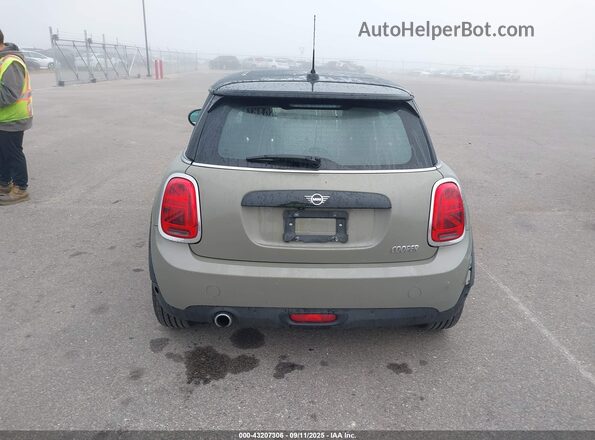 WMWXR3C03M2N03644 2021 MINI COOPER Brown 