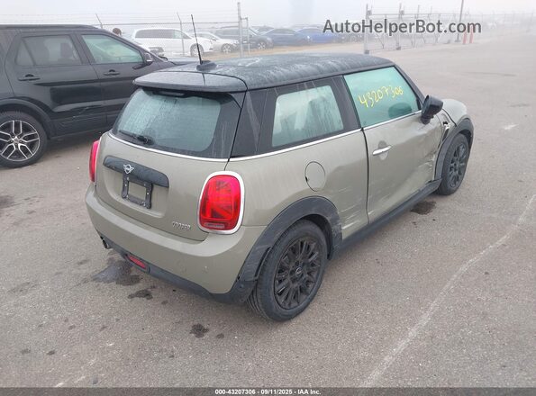 WMWXR3C03M2N03644 2021 MINI COOPER Brown Tył prawy