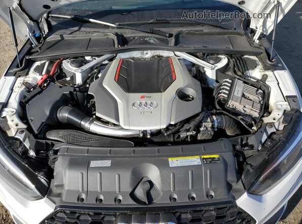 WUABWDF51KA901542 2019 AUDI RS5 White Սալոնի հետևի տեսք