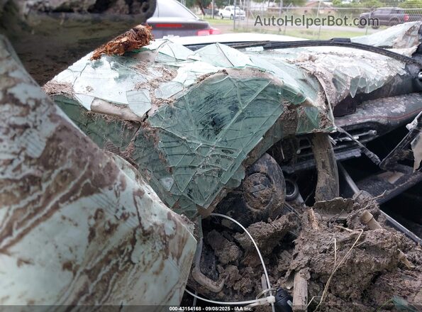 ZACNDFAN1R3A10722 2024 DODGE OTHER Черный Вид задних сидений