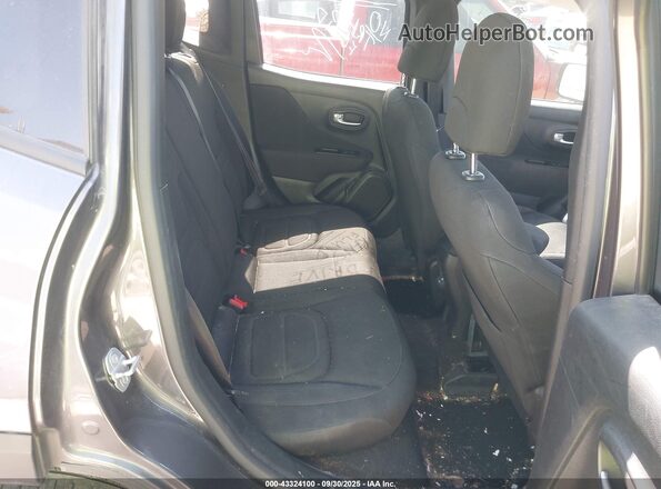 ZACNJABB6LPM04018 2020 JEEP RENEGADE Gray Widok naklejki z numerem VIN