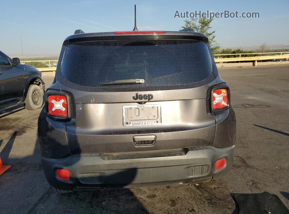 ZACNJABB8LPL12103 2020 JEEP RENEGADE Charcoal Rear view