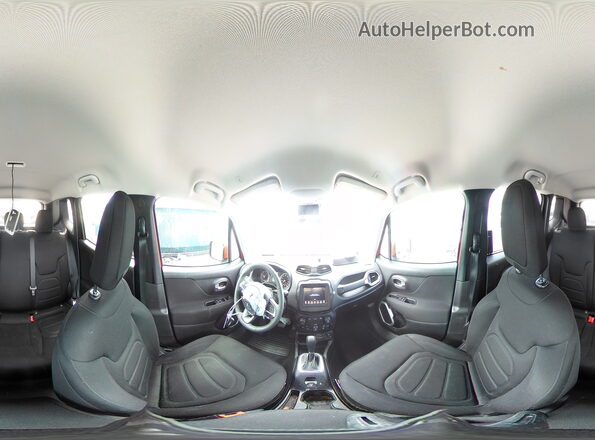 ZACNJABB9LPL86680 2020 JEEP RENEGADE Orange Widok naklejki z numerem VIN