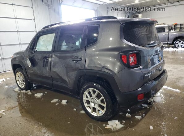 ZACNJBBBXLPL08902 2020 JEEP RENEGADE Gray Հետևի ձախ