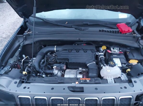 ZACNJDD16MPM43179 2021 JEEP RENEGADE Синий Вид сзади