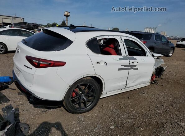 ZASPAKAN0L7C76439 2020 ALFA ROMEO STELVIO Белый 