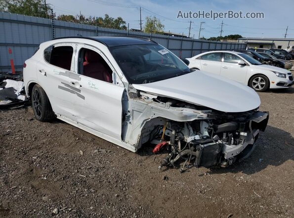 ZASPAKAN0L7C76439 2020 ALFA ROMEO STELVIO Белый 