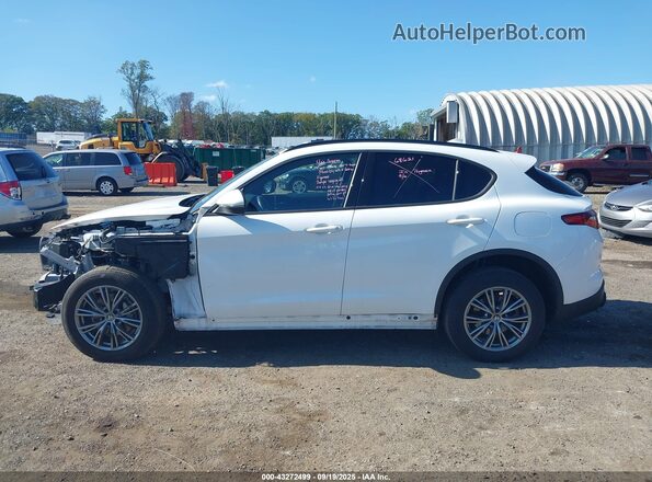 ZASPAKAN7N7D39281 2022 ALFA ROMEO STELVIO Белый Панорамный вид салона 360°
