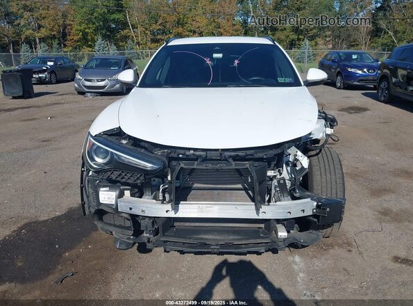 ZASPAKAN7N7D39281 2022 ALFA ROMEO STELVIO Белый Вид спереди