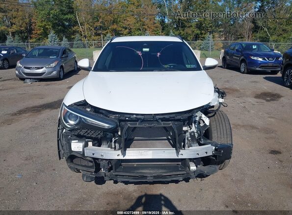 ZASPAKAN7N7D39281 2022 ALFA ROMEO STELVIO Белый Вид щитка приборов