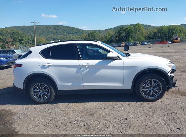 ZASPAKAN7N7D39281 2022 ALFA ROMEO STELVIO Белый Вид задней части салона
