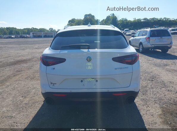 ZASPAKAN7N7D39281 2022 ALFA ROMEO STELVIO Белый 