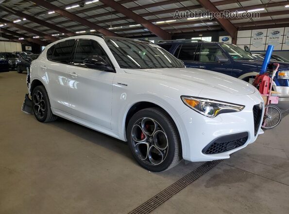 ZASPAKBN1N7D37461 2022 ALFA ROMEO STELVIO Белый 