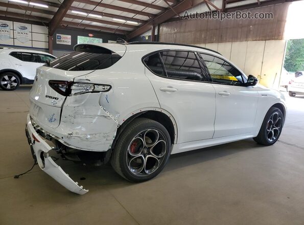 ZASPAKBN1N7D37461 2022 ALFA ROMEO STELVIO Белый 