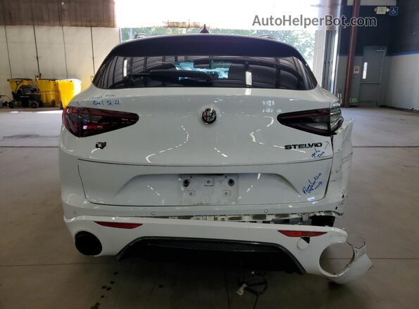ZASPAKBN1N7D37461 2022 ALFA ROMEO STELVIO Белый 