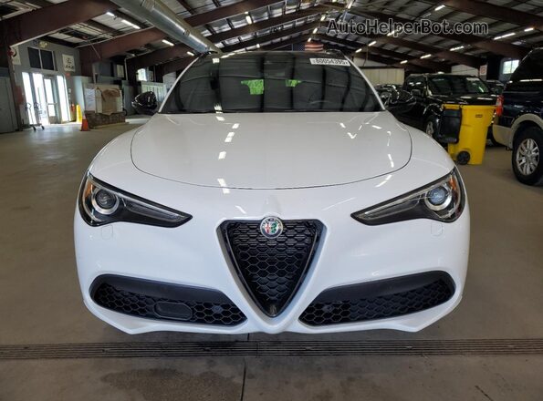 ZASPAKBN1N7D37461 2022 ALFA ROMEO STELVIO Белый 