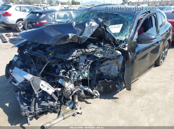 ZASPAKBN3P7D54202 2023 ALFA ROMEO STELVIO Gray Вид спереду