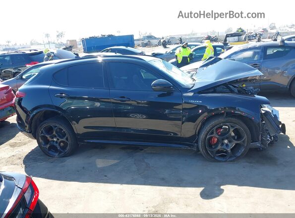 ZASPAKBN3P7D54202 2023 ALFA ROMEO STELVIO Gray Панорамний вид салону 360°