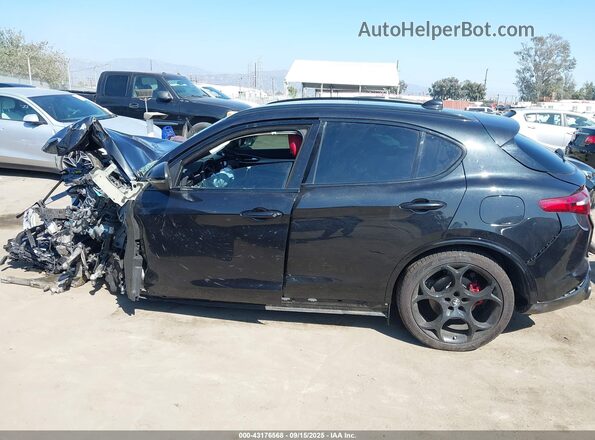 ZASPAKBN3P7D54202 2023 ALFA ROMEO STELVIO Gray 