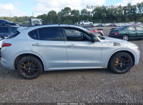 ZASPAKBNXM7D15294 2021 ALFA ROMEO STELVIO Gray 