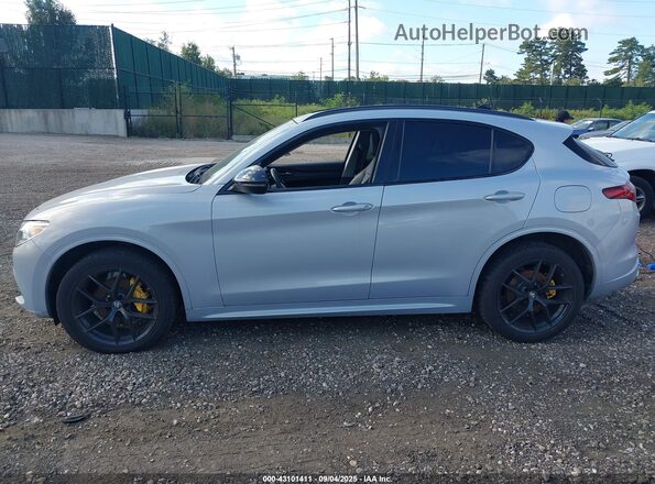 ZASPAKBNXM7D15294 2021 ALFA ROMEO STELVIO Gray 