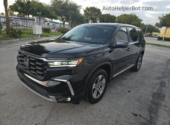 5FNYG2H53RB002351 2024 HONDA PILOT Black 