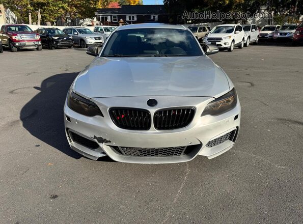 WBA1F9C56GV545208 2016 BMW 2 SERIES Silver Вид ззаду