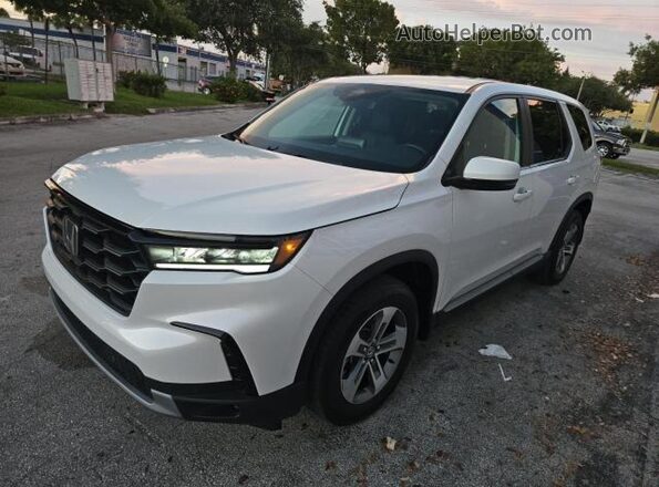 5FNYG1H45RB008220 2024 HONDA PILOT White Rear right
