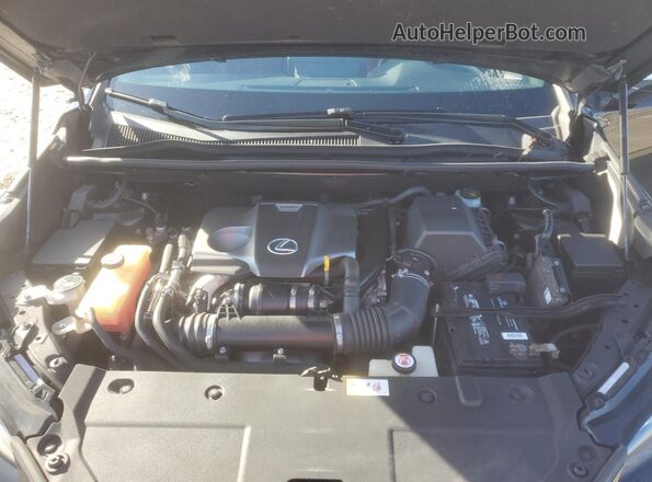JTJYARBZ0K2123219 2019 LEXUS NX Black Vista de la etiqueta del VIN