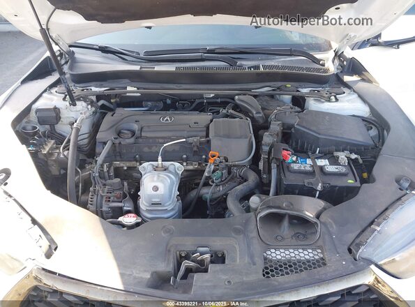 19UUB1F60KA006733 2019 ACURA TLX White Widok z tyłu
