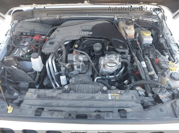 1C4HJXDG3MW506151 2021 JEEP WRANGLER UNLIMITED White Вид ззаду