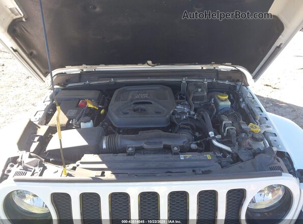 1C4HJXEN6MW554580 2021 JEEP WRANGLER UNLIMITED White Widok z tyłu