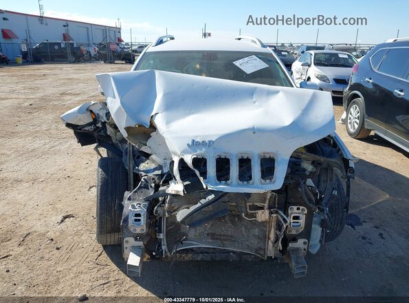 1C4PJLLB4LD561518 2020 JEEP CHEROKEE White Вид задньої частини салону
