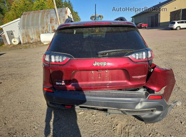1C4PJMBX0LD656645 2020 JEEP CHEROKEE Burgundy Rear view