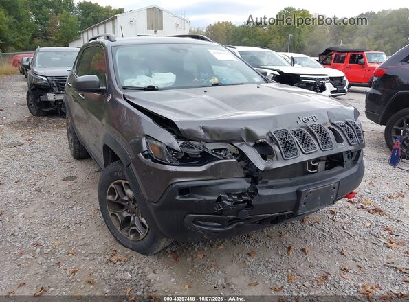 1C4PJMBX7MD125038 2021 JEEP CHEROKEE Gray Vista frontal