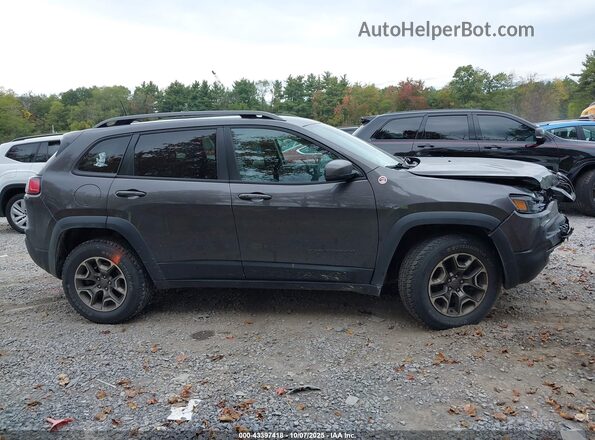 1C4PJMBX7MD125038 2021 JEEP CHEROKEE Gray Vista interior trasera