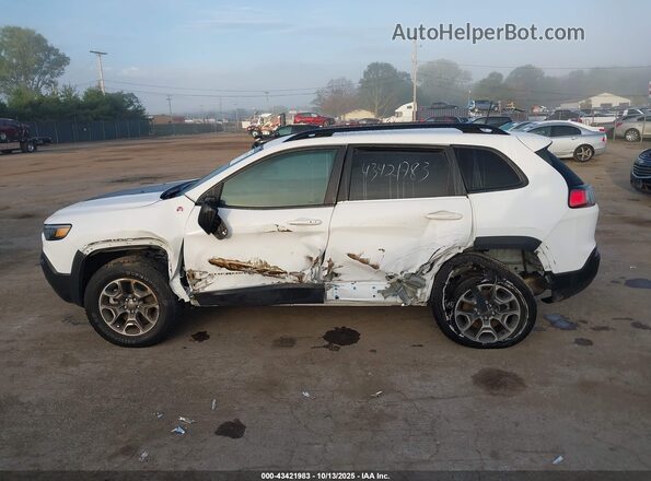 1C4PJMBX7ND553743 2022 JEEP CHEROKEE White Панорамний вид салону 360°