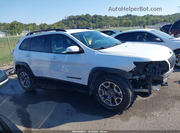 1C4PJMCX0LD607816 2020 JEEP CHEROKEE White უკანა სალონის ხედი