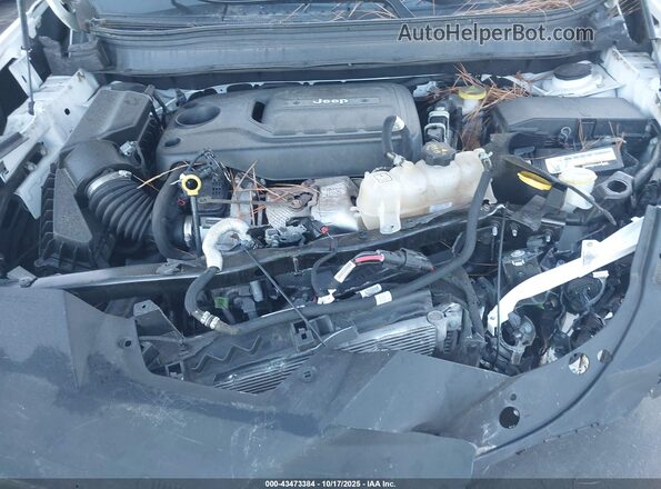 1C4PJMDN9LD553333 2020 JEEP CHEROKEE Белый Вид сзади