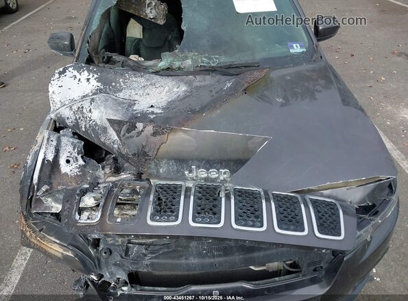 1C4PJMDX3KD138783 2019 JEEP CHEROKEE Gray Vista trasera