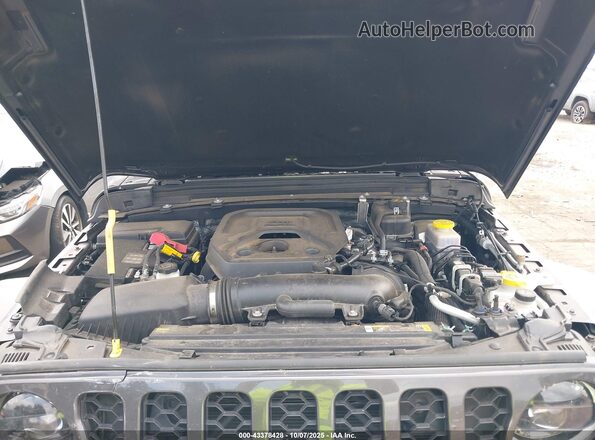 1C4PJXDNXRW102992 2024 JEEP WRANGLER Gray Widok z tyłu
