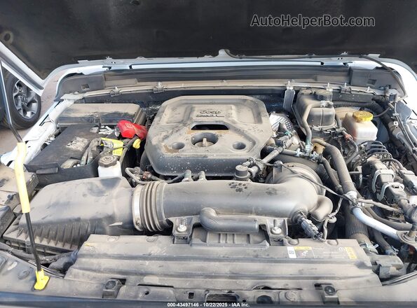 1C4PJXEN3RW114464 2024 JEEP WRANGLER Белый Вид сзади