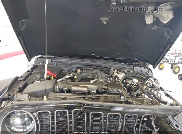 1C4PJXFG5RW309028 2024 JEEP WRANGLER Black Widok z tyłu