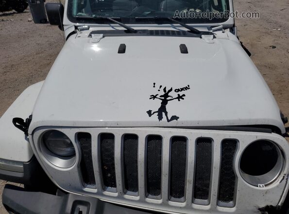 1C6HJTFG8LL212709 2020 JEEP GLADIATOR White Սալոնի հետևի տեսք