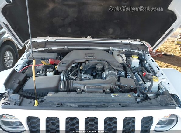 1C6JJTAG8ML557863 2021 JEEP GLADIATOR White უკანა ხედი
