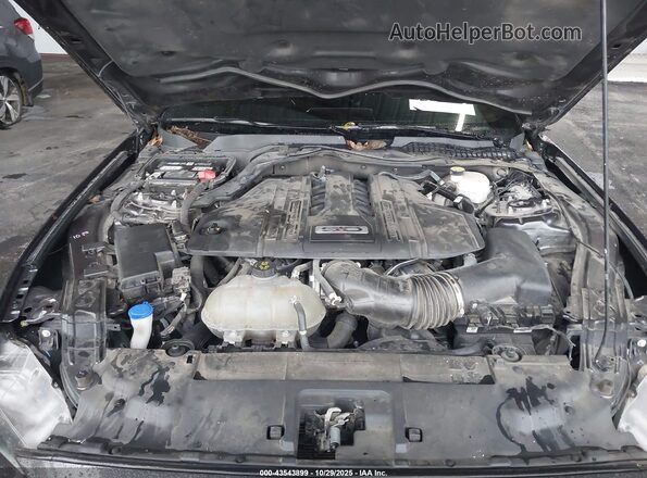 1FA6P8CF5P5304254 2023 FORD MUSTANG Gray უკანა ხედი