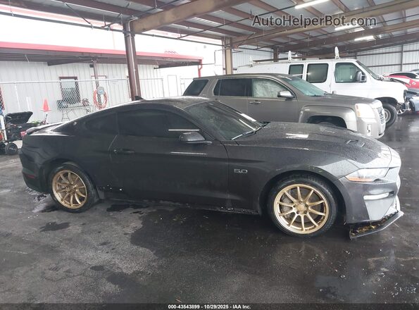 1FA6P8CF5P5304254 2023 FORD MUSTANG Gray უკანა სალონის ხედი